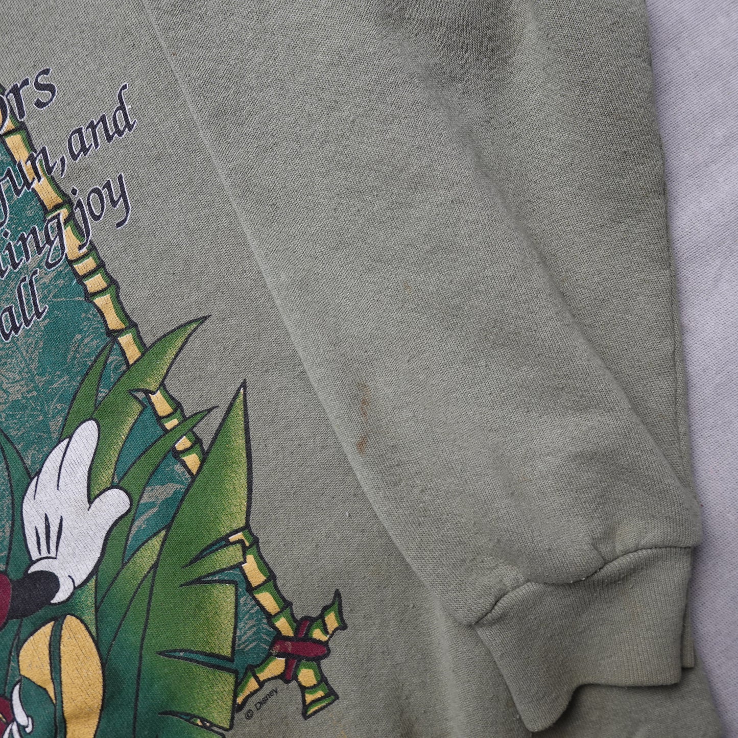 Vintage Mickey Outdoors Crewneck - Size L