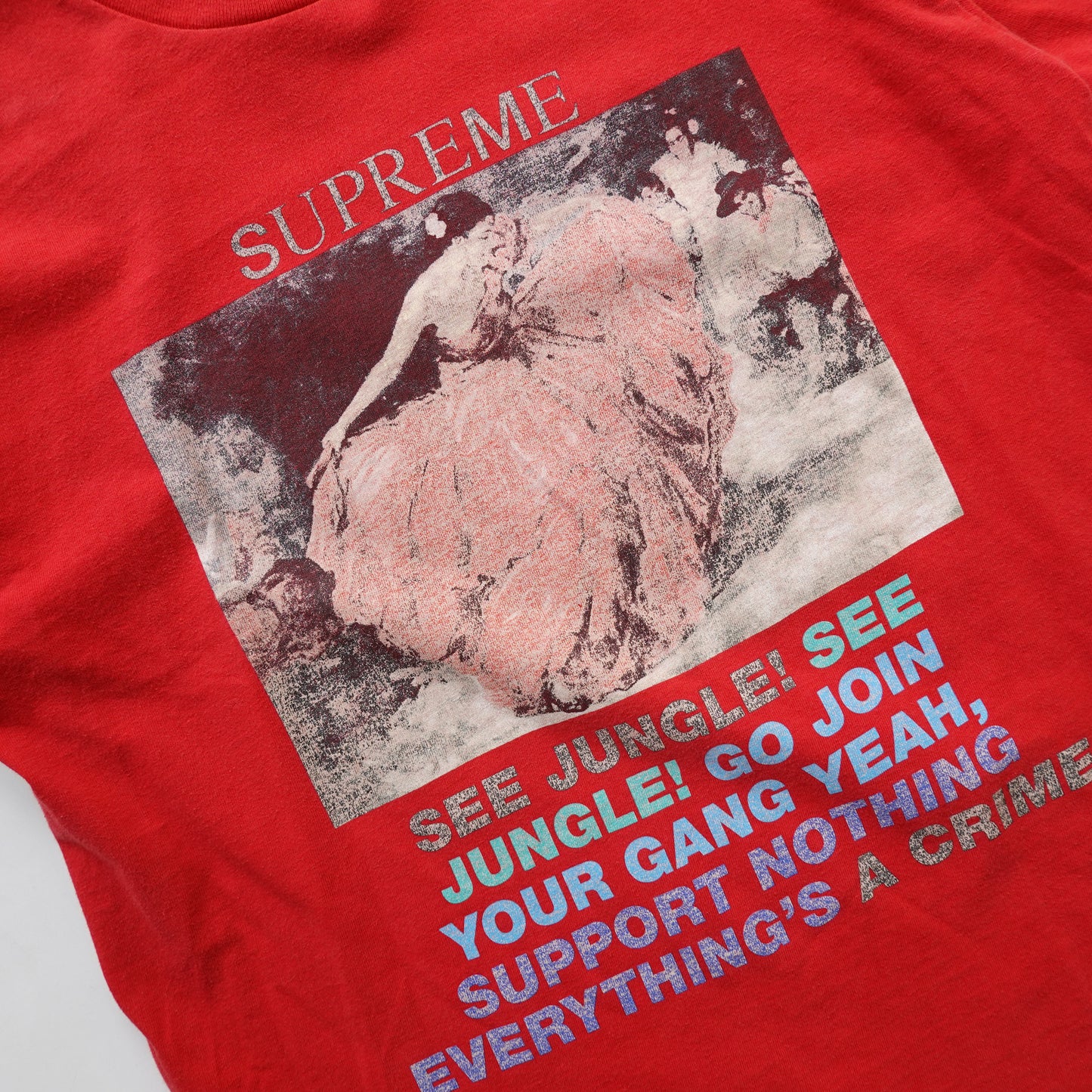 SS16 Supreme Voir Jungle! Tee - Size L