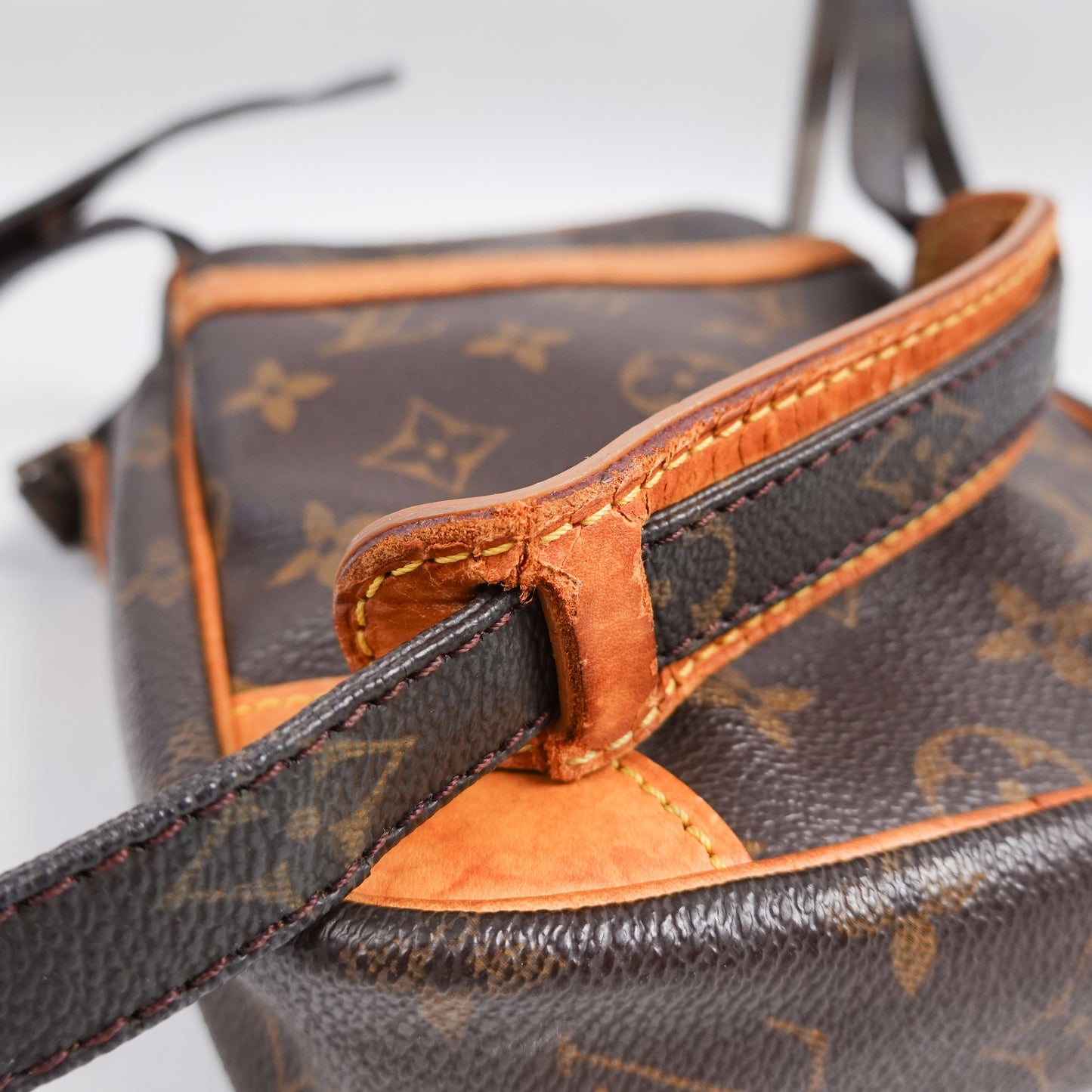 Louis Vuitton Danube Side Bag