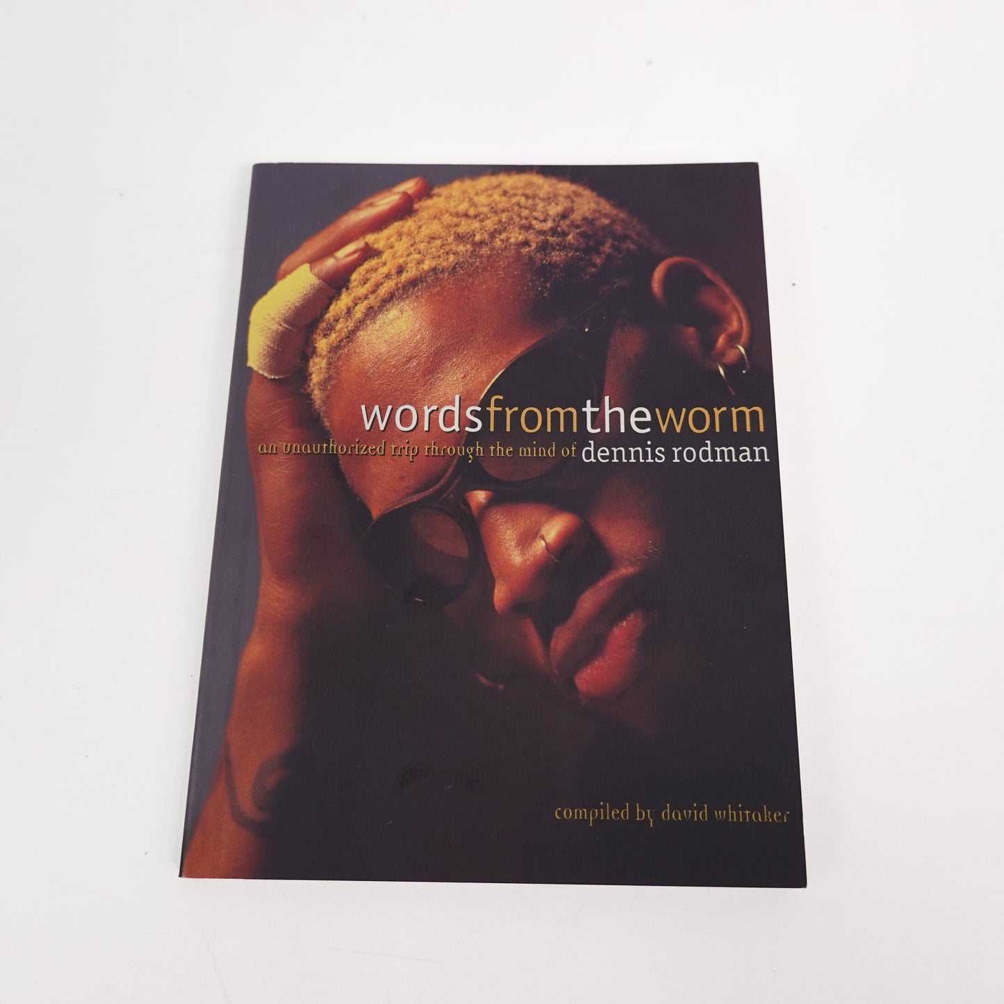 Words From the Worm: An Unauthorized Trip Through the Mind of Dennis Rodman Book