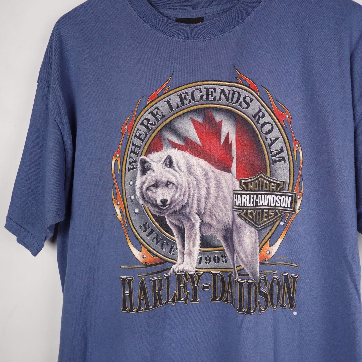 2003 Harley Davidson Blue Tee - Size XL
