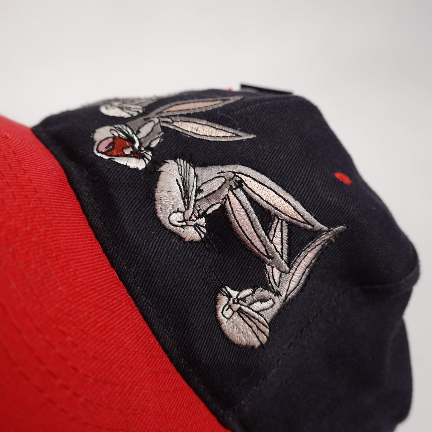 Vintage Looney Tunes Hat