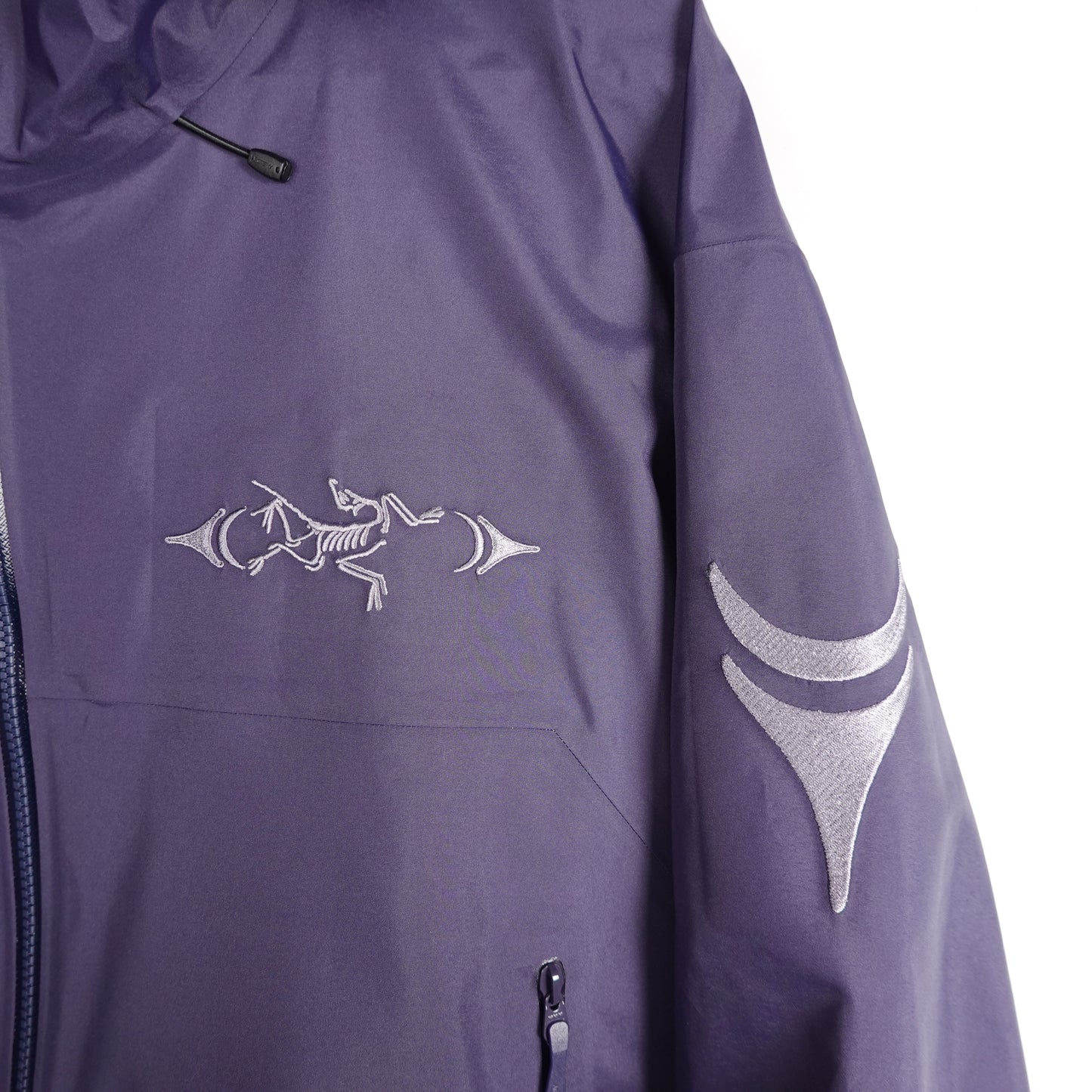 Arc’teryx x Walk Gently Beta SL Gore-Tex Jacket - Size XL