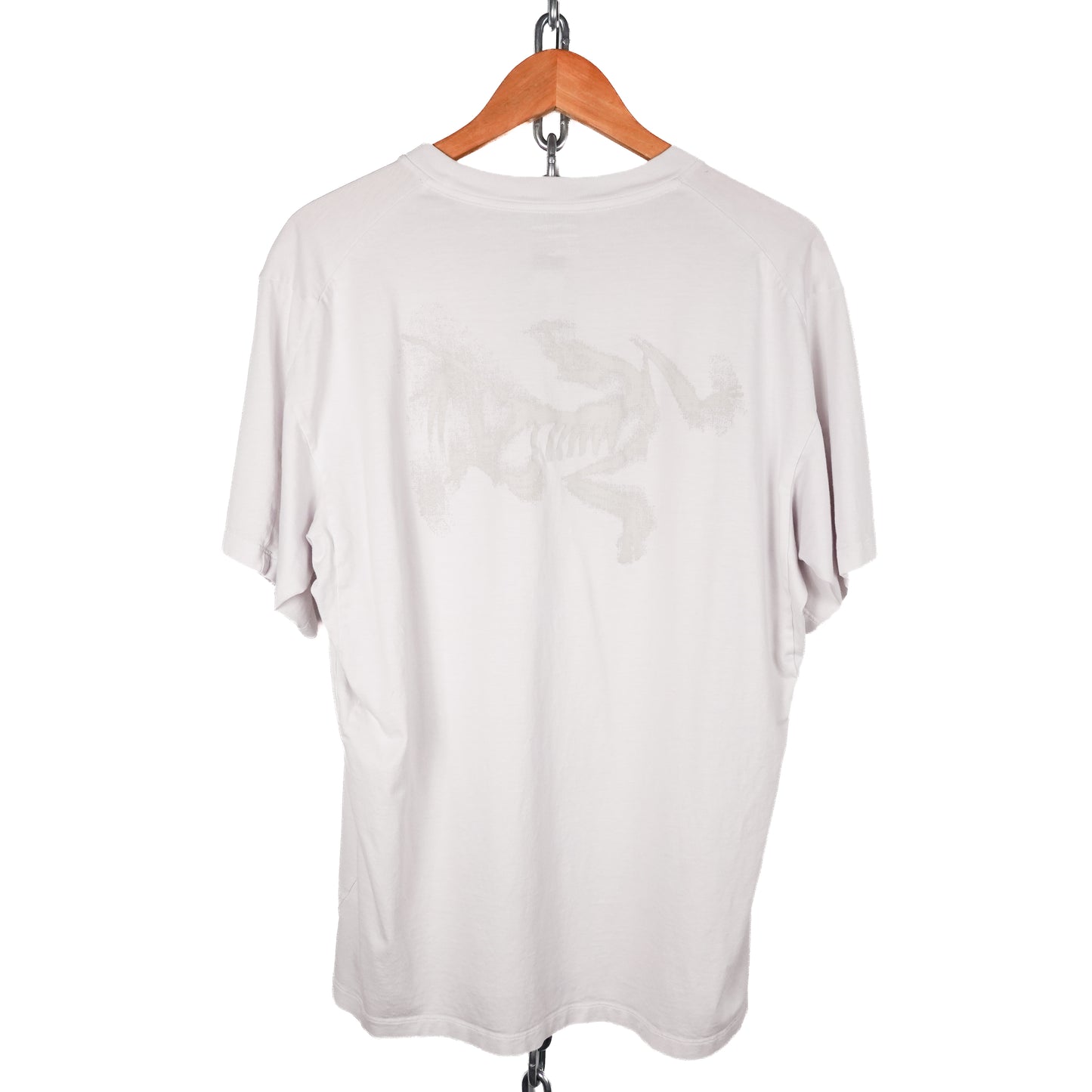 Arc’teryx Kragg SL Blurred Bird Tee - Size L
