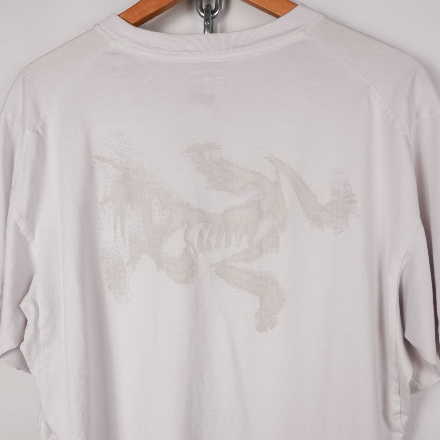 Arc’teryx Kragg SL Blurred Bird Tee - Size L