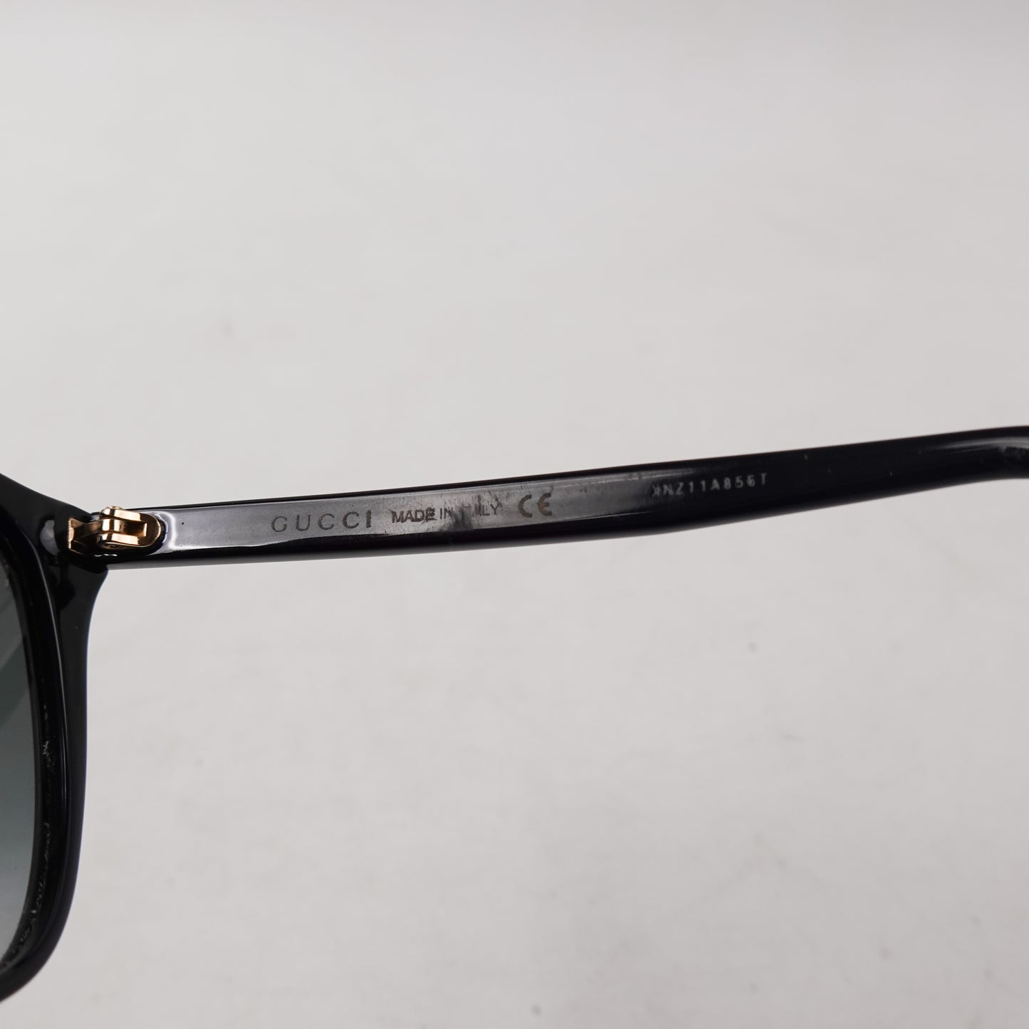 Gucci GG0022S Sunglasses