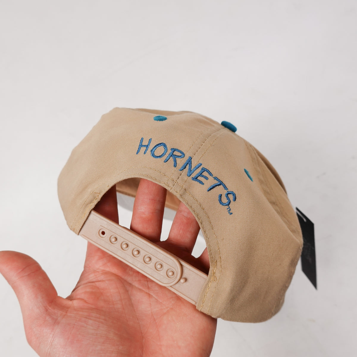 Vintage Taz x Charlotte Hornets Hat