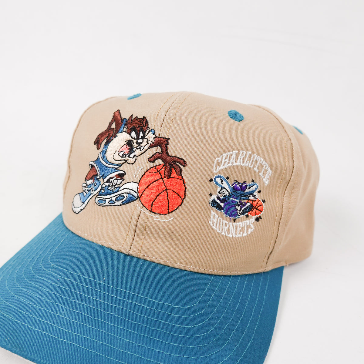 Vintage Taz x Charlotte Hornets Hat