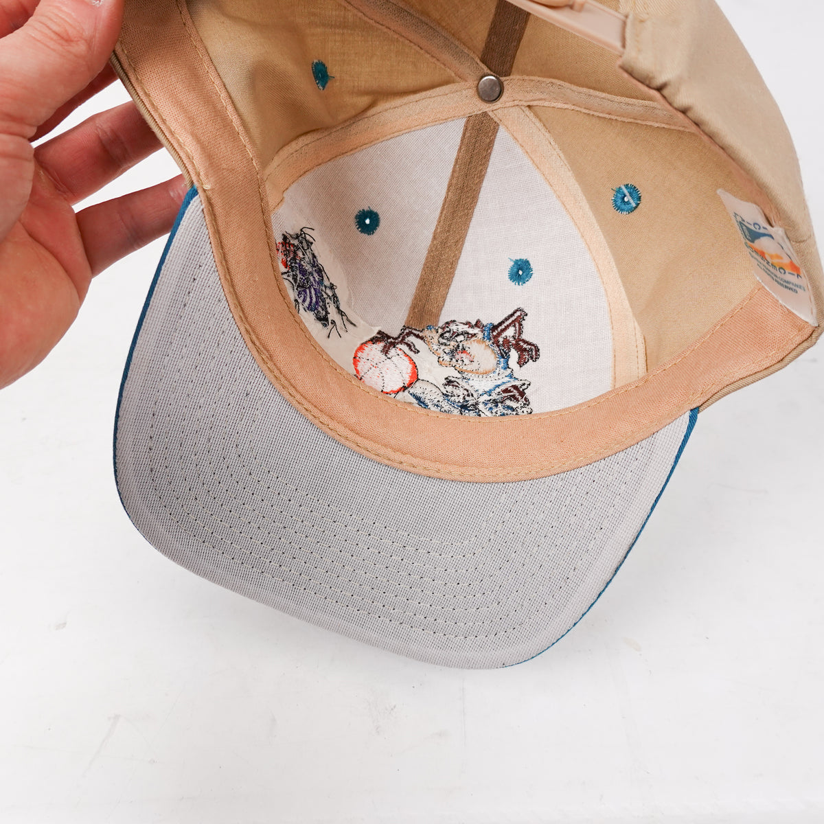 Vintage Taz x Charlotte Hornets Hat