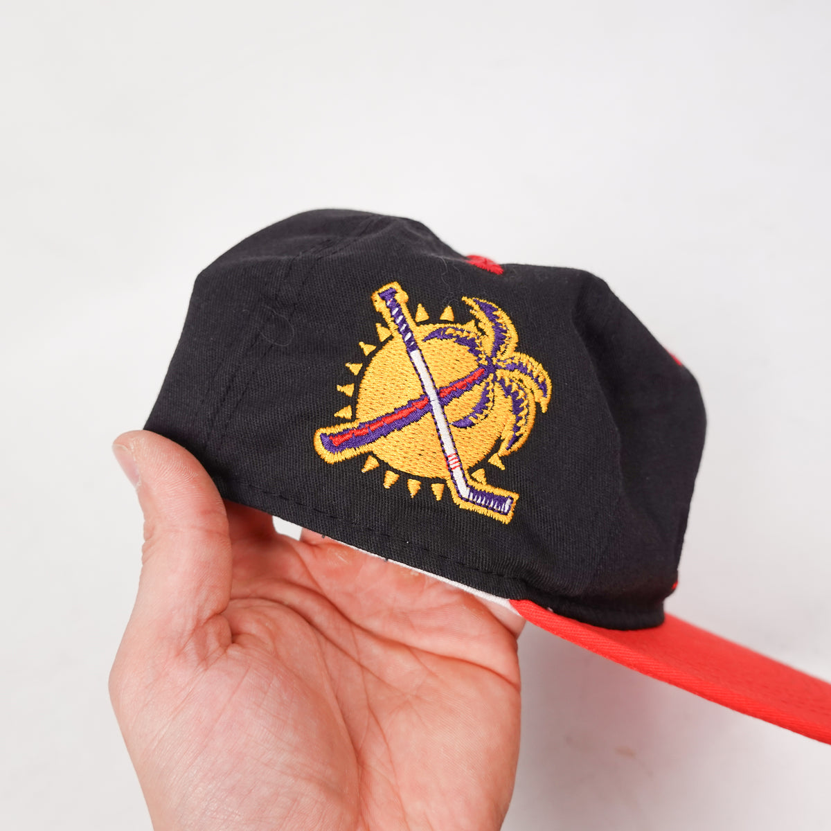 Vintage Panthers Hat