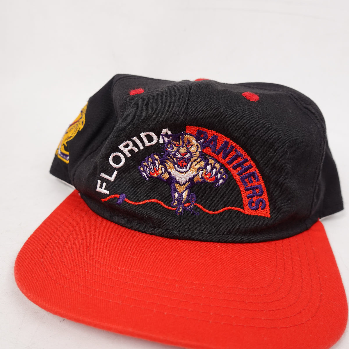Vintage Panthers Hat