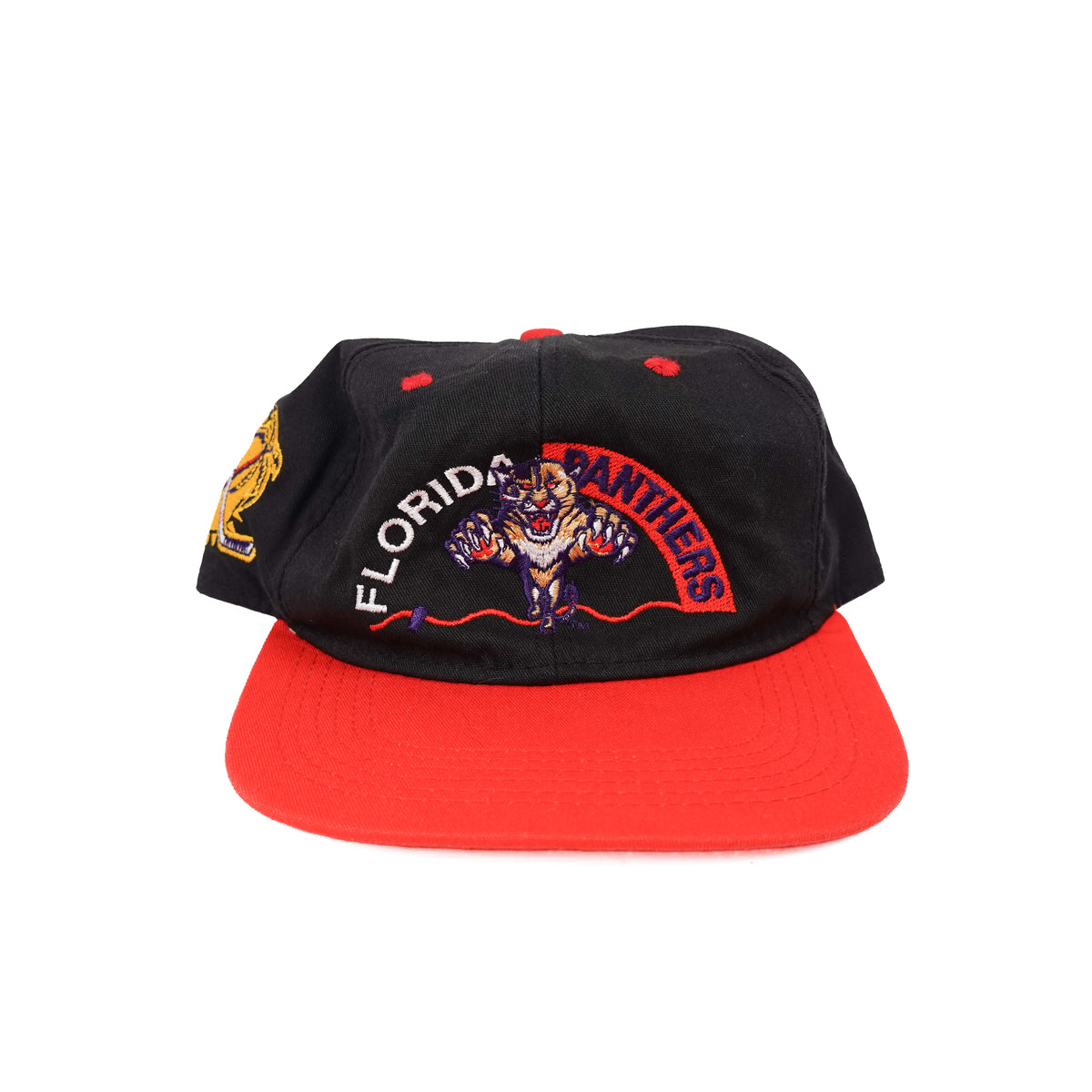 Vintage Panthers Hat