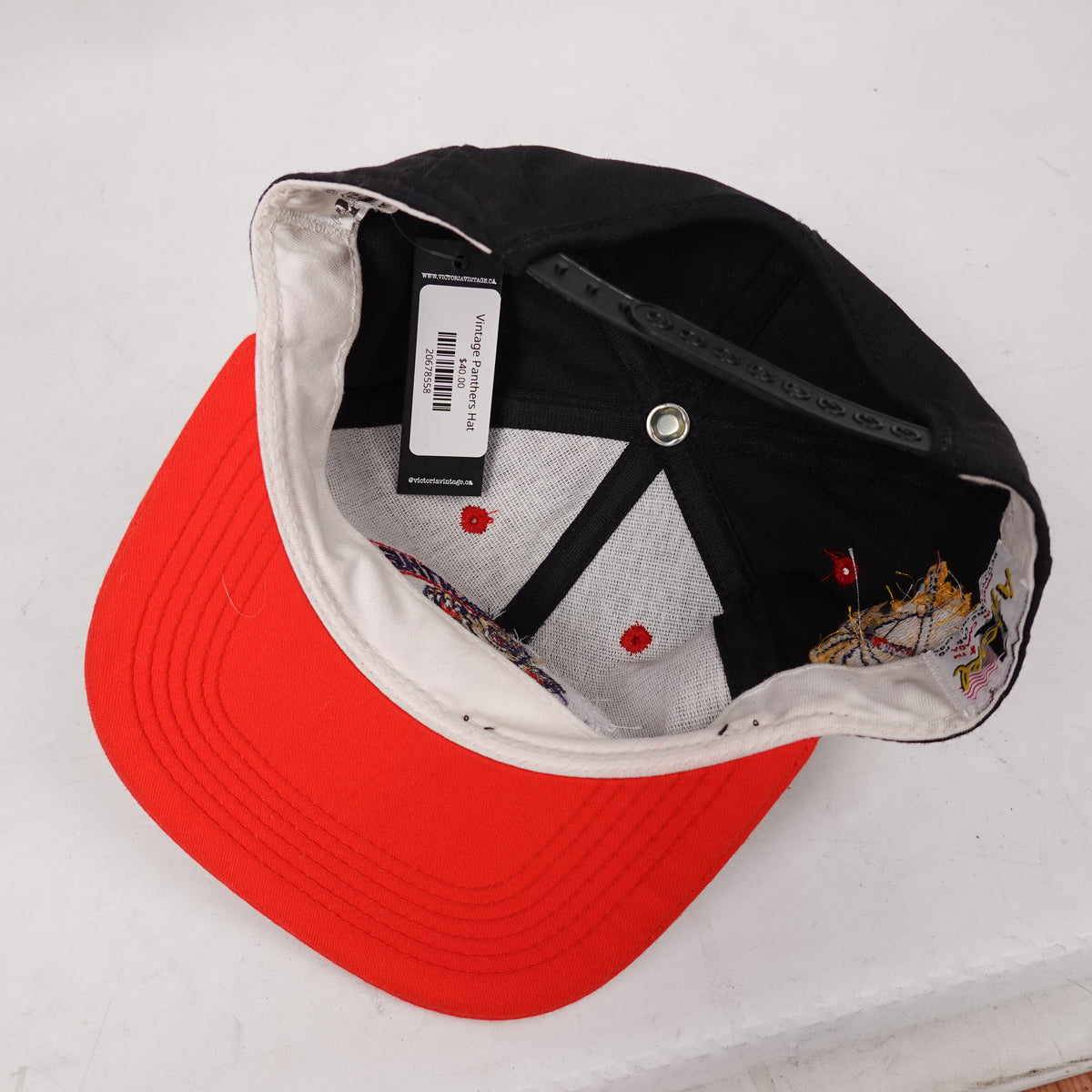 Vintage Panthers Hat